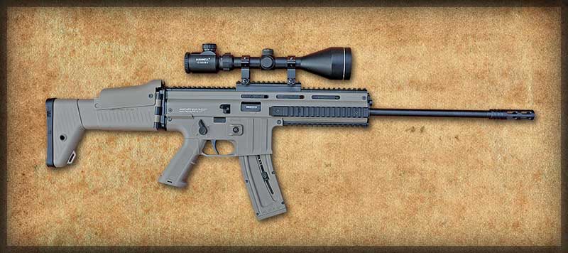 Anschütz MSR RX 22 G Desert